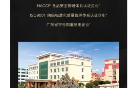 多礼精选：至尊帝皇唯美东方系列·黑松露流心月饼礼盒480g