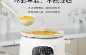 多礼精选：Abereve艾贝丽 3L 陶瓷电炖锅ABL-DG351